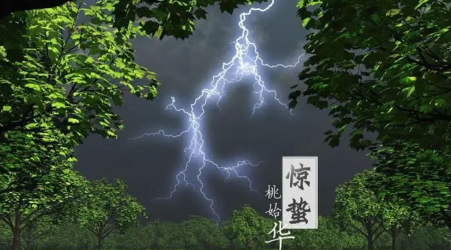 驚蟄時(shí)節(jié)！金環(huán)電器提醒大家的注意事項(xiàng)