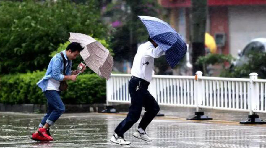 9號臺風“馬鞍”生成！金環(huán)電器提醒大家要注意的事項