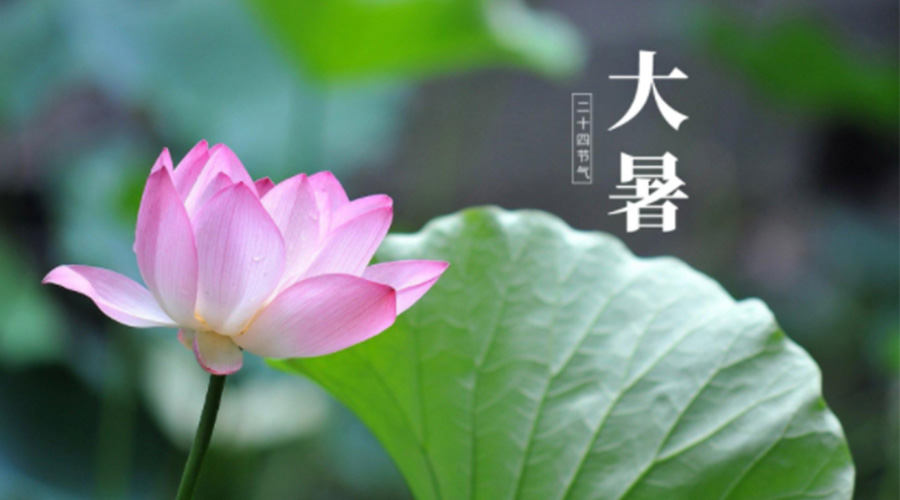 大暑時節(jié)！金環(huán)電器提醒大家注意這些干衣細(xì)節(jié)