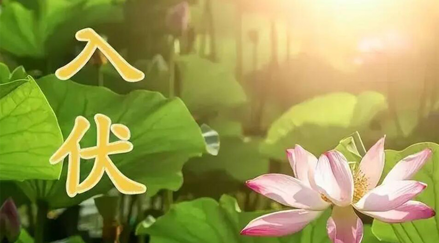 入伏天來襲！金環(huán)電器提醒大家要注意的事項(xiàng)