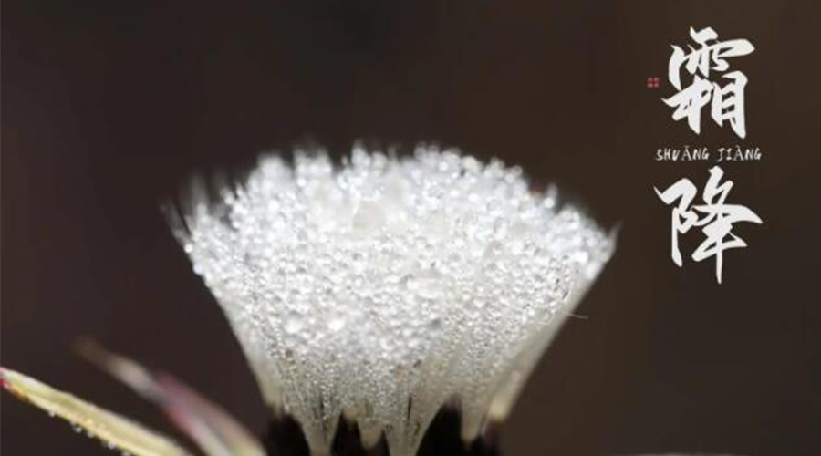 霜降時節(jié)！金環(huán)電器提醒大家要注意的事項(xiàng)