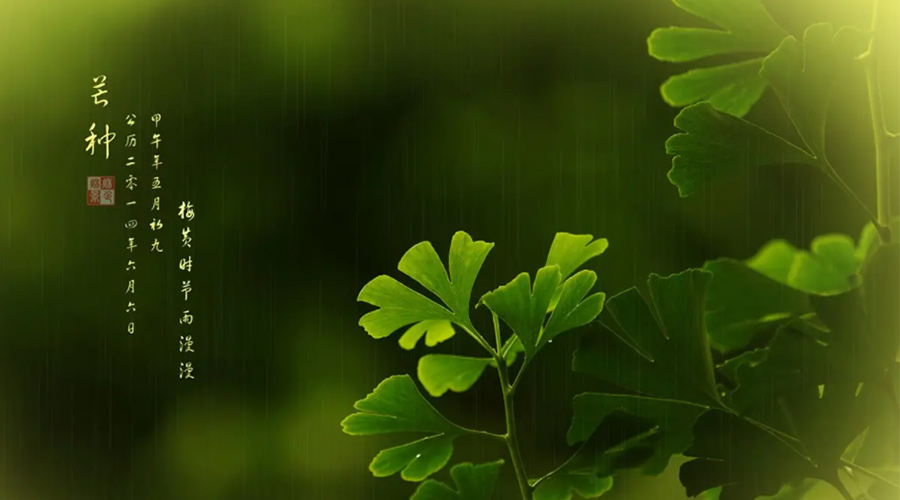 芒種時(shí)節(jié)！金環(huán)電器提醒大家的注意事項(xiàng)