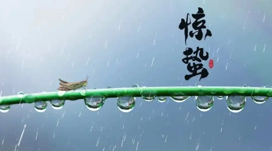 驚蟄時節(jié)！金環(huán)電器提醒大家干衣要注意這些