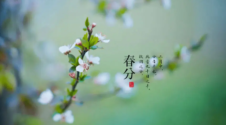 春分雨水多易生菌！金環(huán)電器提醒你衣物要注意處理