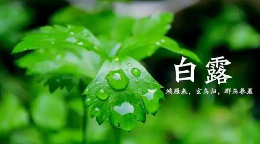 白露時(shí)節(jié)！金環(huán)電器提醒大家要注意的事項(xiàng)