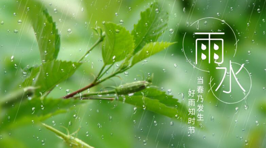 雨水時節(jié)！金環(huán)電器提醒大家要注意的事項(xiàng)