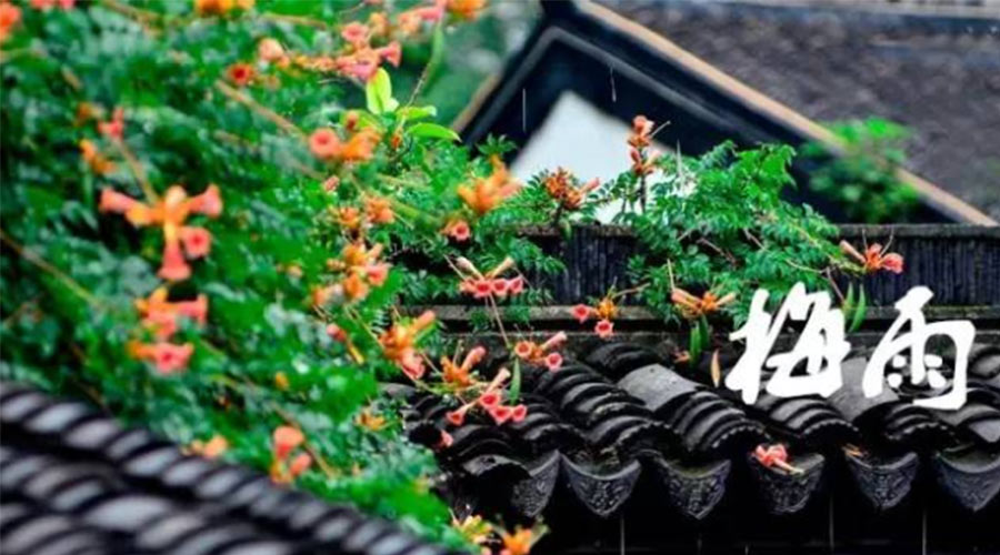 什么是梅雨？梅雨如何形成？  金環(huán)電器告訴你答案